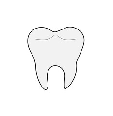 healthy tooth on a white background,