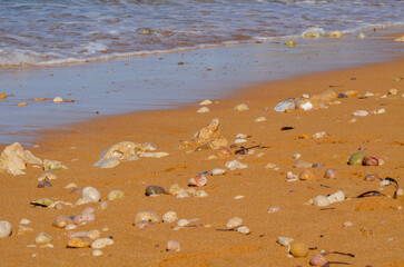 Rock on the sandy beach summer suny day 