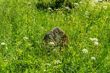 Kirkut w Lutowiskach  © wedrownik52