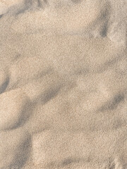 Sand Textured Background
