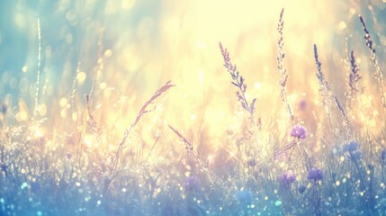 Soft Sunlight on Ethereal Wildflower Meadow