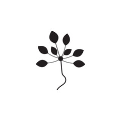 Floral Branch and Minimalist Flowers for Logo or Tattoo