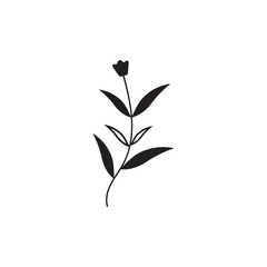 Floral Branch and Minimalist Flowers for Logo or Tattoo