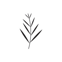Floral Branch and Minimalist Flowers for Logo or Tattoo