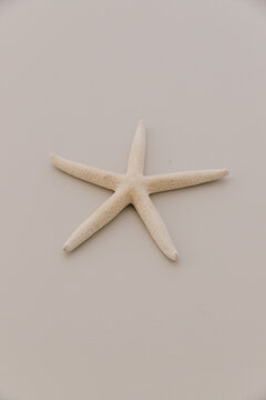 Beige starfish lying on a light grey table top.