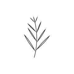 Floral Branch and Minimalist Flowers for Logo or Tattoo
