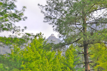 Taktshang Monastery called the tiger's nest on a rock cliff in Bhutan