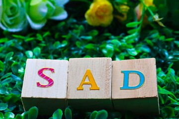 木のキューブ　～ＳＡＤ～