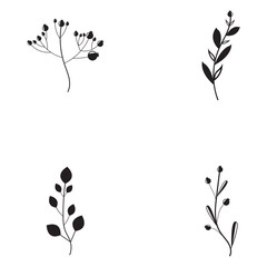 Floral Branch and Minimalist Flowers for Logo or Tattoo