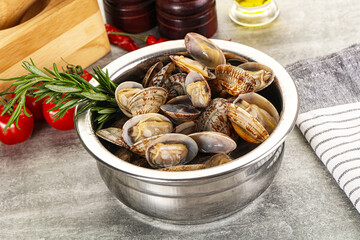 Raw vongole clams for cooking