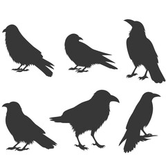 A collection of a crow's silhouette