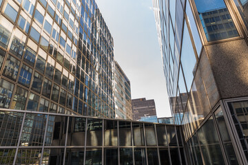 Fototapeta premium modern office building in the city