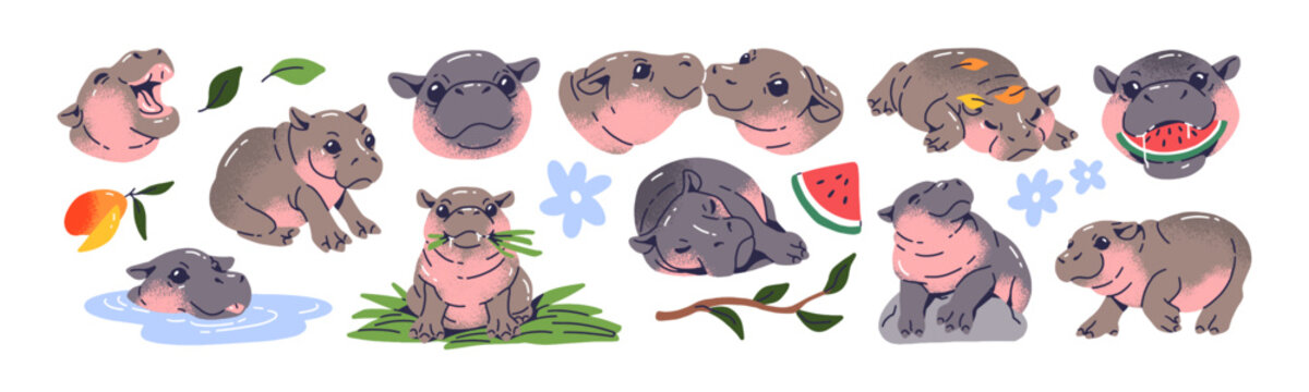 Cute baby hippo set. Funny pygmy hippopotamus has fun, sleeps, eats watermelon. Happy plump African animal swims in water, walks, relaxes. Flat isolated vector illustrations on white background