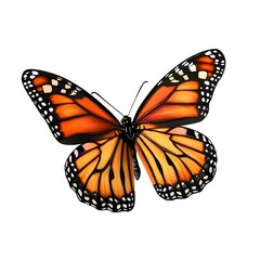 Fototapeta premium Majestic Monarch Butterfly with Vibrant Orange and Black Wings
