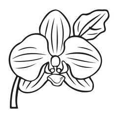 Orchid flower vector silhouette icon art illustration.