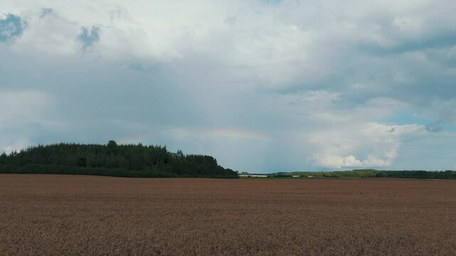 The Rainbow Over the Green Field After Storm With Rain, During Outumn, Aerial View Under Heavy Clouds Before Thunderstorm. Agriculture Landscape Many Crop Fields. Aerial 4k Shot