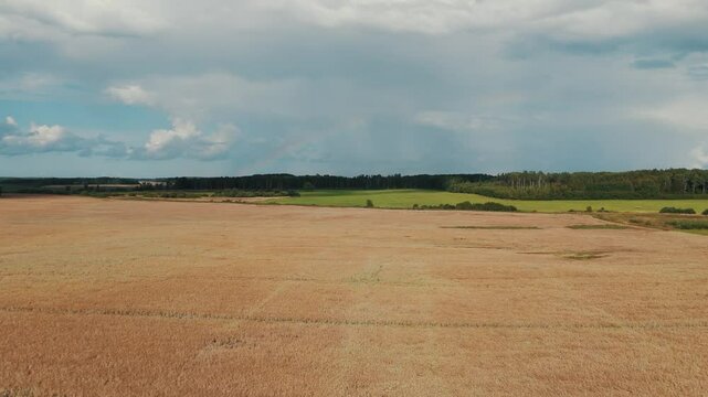 The Rainbow Over the Green Field After Storm With Rain, During Outumn, Aerial View Under Heavy Clouds Before Thunderstorm. Agriculture Landscape Many Crop Fields. Aerial 4k Shot