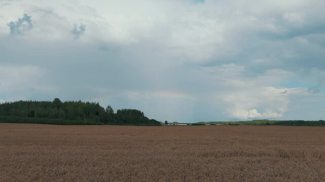 The Rainbow Over the Green Field After Storm With Rain, During Outumn, Aerial View Under Heavy Clouds Before Thunderstorm. Agriculture Landscape Many Crop Fields. Aerial 4k Shot
