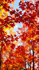 fall images, highly detailed, 8k,dreamy, colourfull, sharp image, fall leafe, cinematic wallpaper, clear sky,