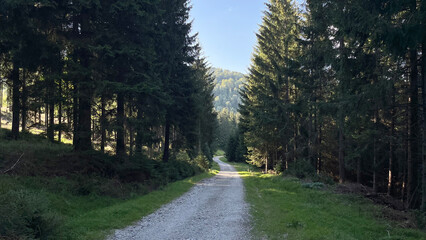 Mountain country rocky road in the mountainous Polish valley. Bielice