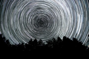 Star trails in the night sky. Stars move around a polar star. Silhouettes of trees