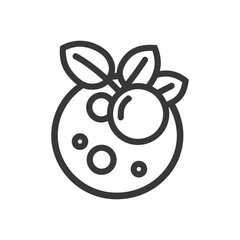 Obraz premium Line drawing of a blueberry with leaves