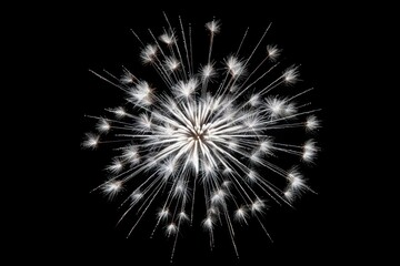 Naklejka premium Winter firework fireworks outdoors night.