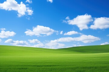 Fototapeta premium Green plain landscape sky backgrounds.