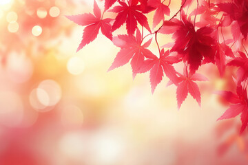 Fototapeta premium Copy space with autumn red leaves