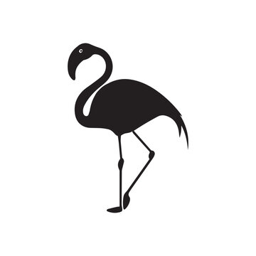 recommend clip art: Flamingo Standing silhouette design, Flamingo vector illustration
                    