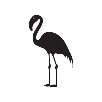 recommend clip art: Flamingo Standing silhouette design, Flamingo vector illustration
                    