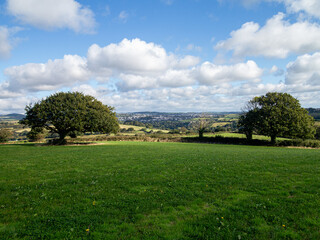 Fototapeta premium Cornish landscape with trees 
