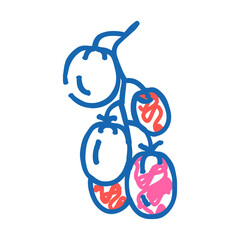 branch tomato doodle icon sketch vector. branch tomato sign. isolated symbol illustration