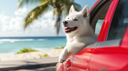 White dog on a sunny seaside journey in red car.