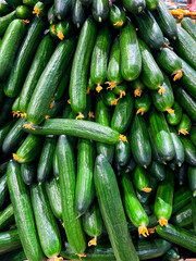 Cucumbers. Fresh organic green cucumbers in  local market. Group cucumber background