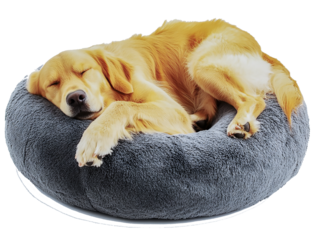 a winsome dog sleeping on Leisure pet donut dog bed cut out