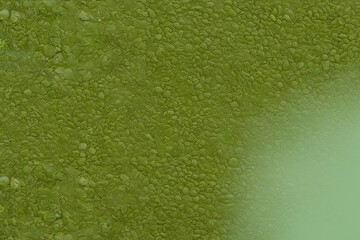 Sleek Urban Olive and Gravel Texture with Soft Green Brushed Overlay