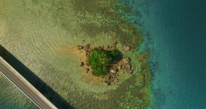 Birds eye view shot of frog looking like rock near kouri bridge in Okinawa, Japan