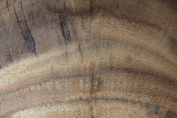 Naklejka premium wood surface texture as background.