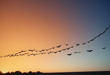 Swarm of black bats flying against an orange and dark blue gradient background