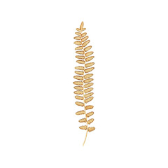 Plant Clipart Vector Illustration