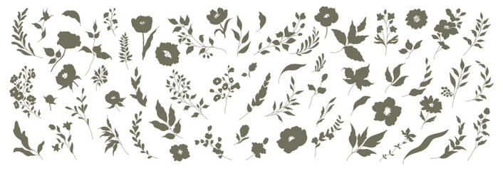 Set of Silhouettes of Flowers, Branches and Leaves. Hand drawn elegant vector botanical elements