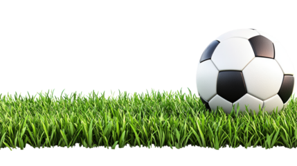 soccer ball resting on vibrant green grass creates lively scene perfect for sports enthusiasts. contrast between ball and grass highlights excitement of game