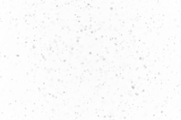 snow  on the transparent backgrounds