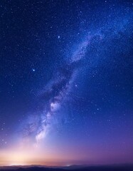 Obraz premium 夜空とコスモス