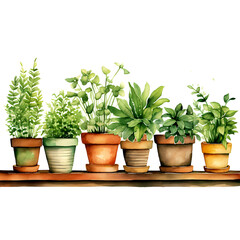 Fototapeta premium Plant Clipart Vector Illustration