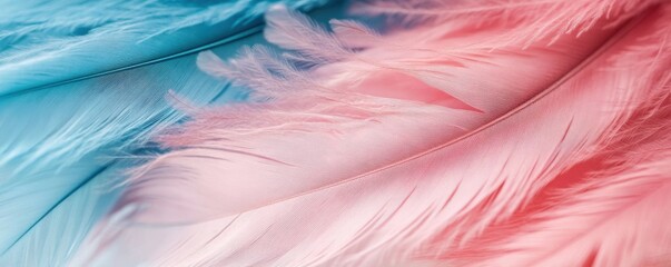 Obraz premium Close-up of delicate pink and blue feathers on a white background showcasing softness and vibrant colors