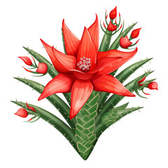 Plant Clipart Vector Illustration