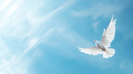 White dove soaring in blue sky symbolizing peace and freedom.