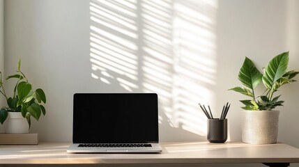 Fototapeta premium A minimalist workspace featuring a laptop, plants, and light shadows on the wall.